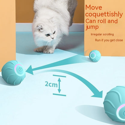 USB Rechargeable Rolling Ball – Interactive Cat Toy for Active Play.