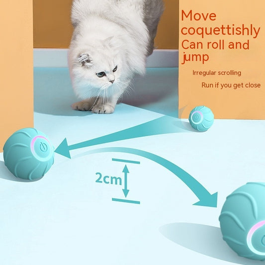 USB Rechargeable Rolling Ball – Interactive Cat Toy for Active Play.