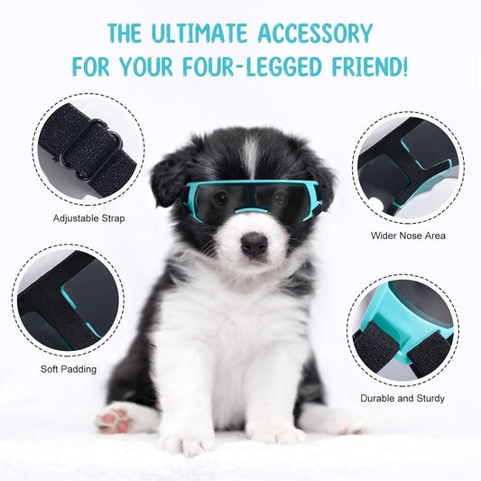 Windproof & UV-Proof Goggles for Small Dogs & Cats – Adjustable, Lightweight, and Anti-Fog Pet Sunglasses - Giggle & Purr