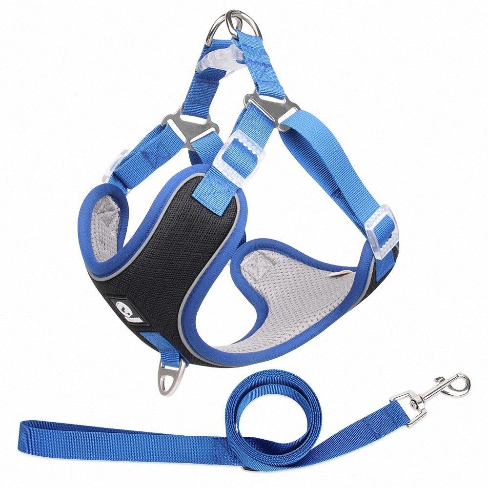 Glide & Glow: Adjustable Comfort Harness with Reflective Safety. - Giggle & Purr