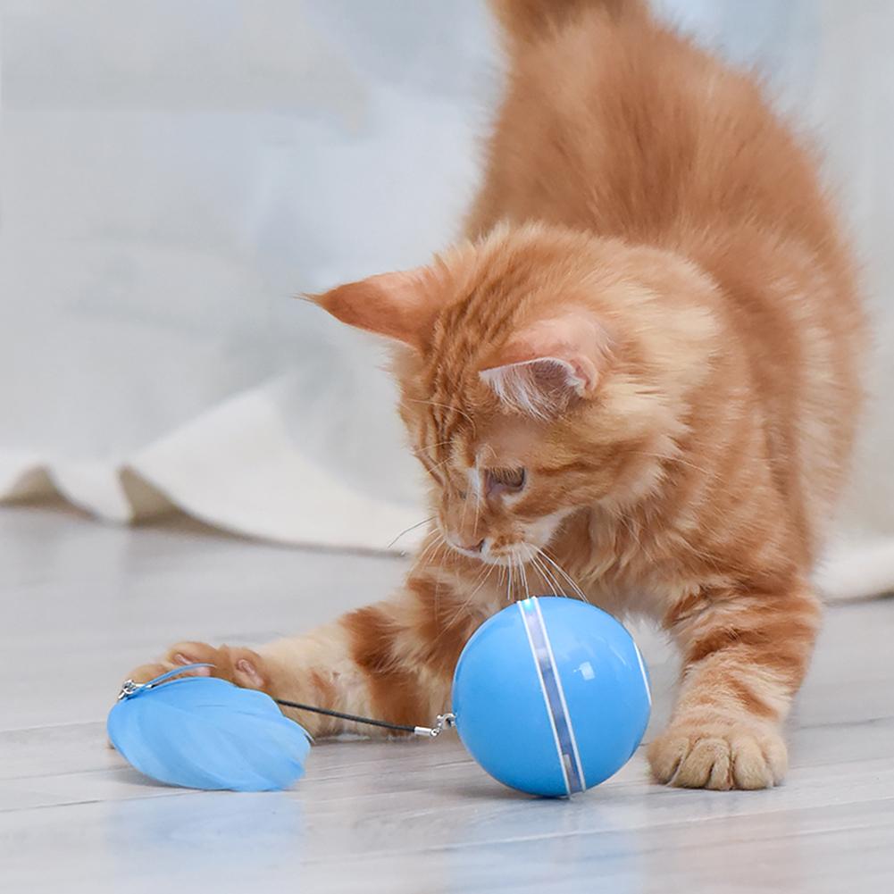 Interactive LED Laser Rolling Ball – Fun Electronic Toy for Cats