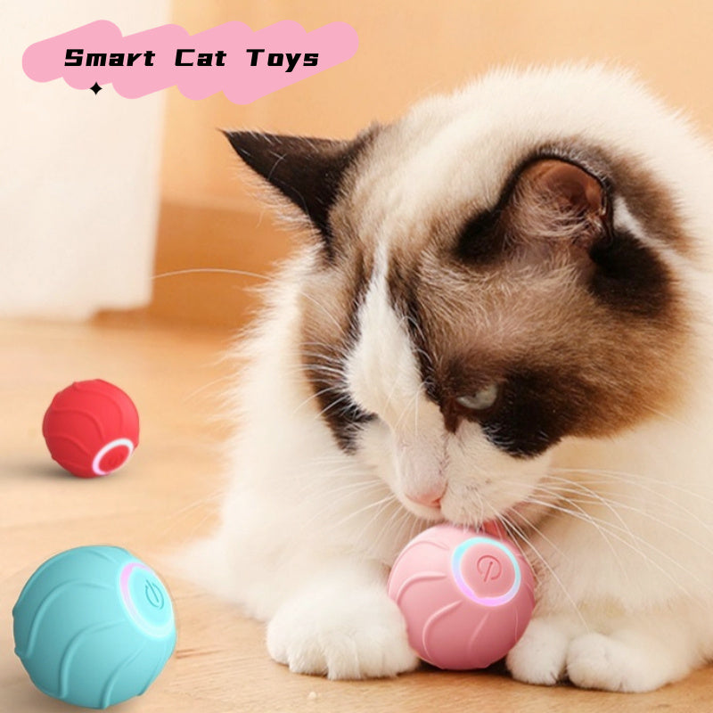 USB Rechargeable Rolling Ball – Interactive Cat Toy for Active Play.