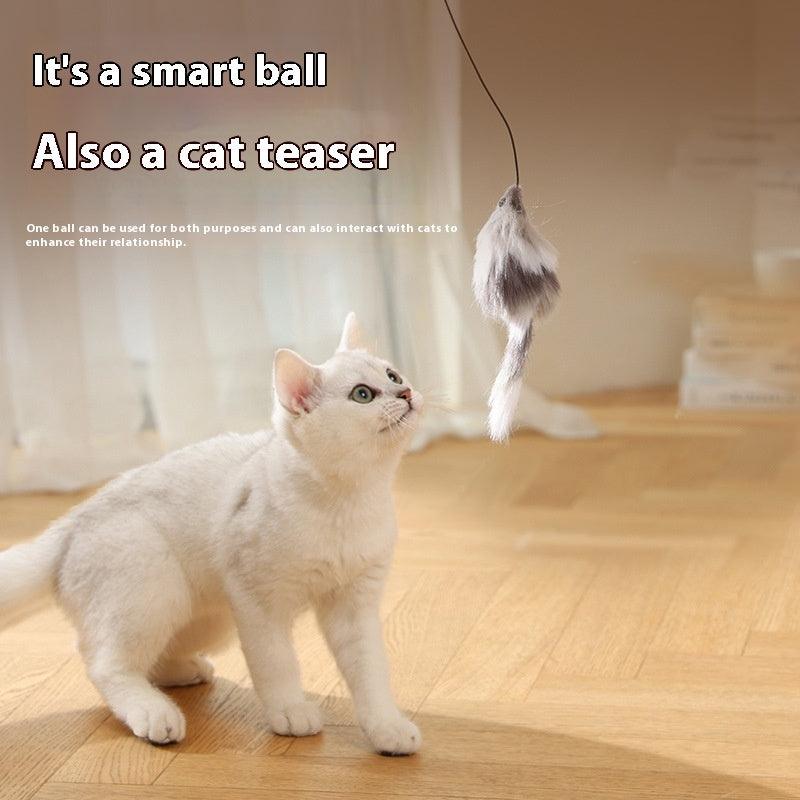 Unleash the Fun: Discover the Electric Cat Teaser Ball – Endless Joy for Your Feline! - Giggle & Purr