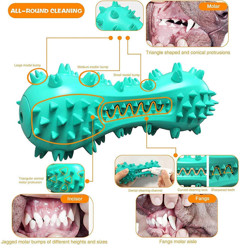 Durable Dog Chew Toy – Rubber Molar Stick That Promotes Healthy Teeth & Gums.