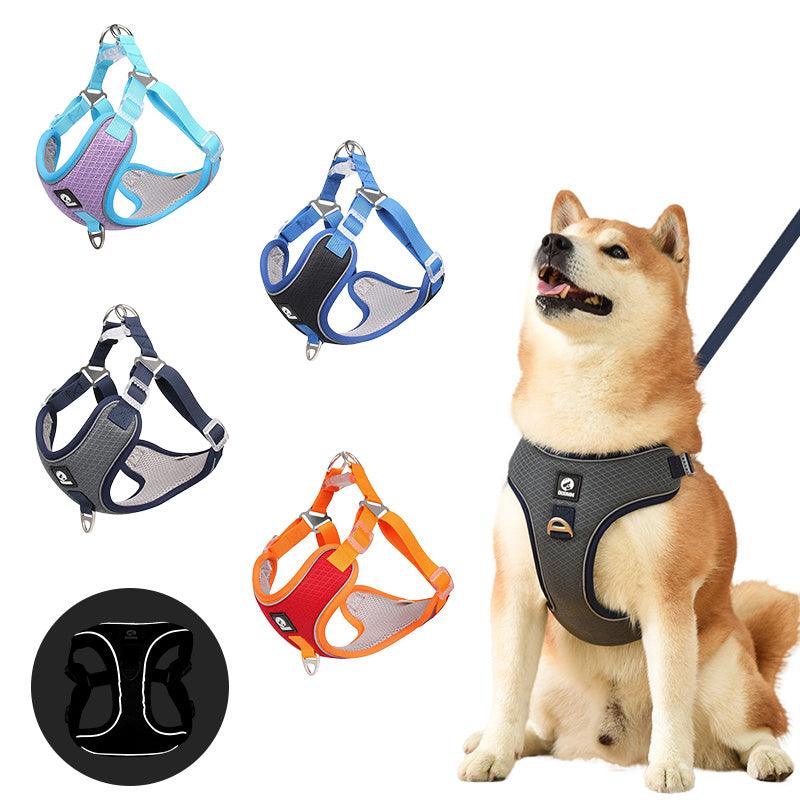 Glide & Glow: Adjustable Comfort Harness with Reflective Safety. - Giggle & Purr