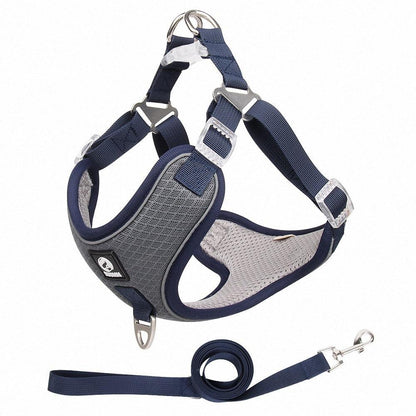 Glide & Glow: Adjustable Comfort Harness with Reflective Safety. - Giggle & Purr