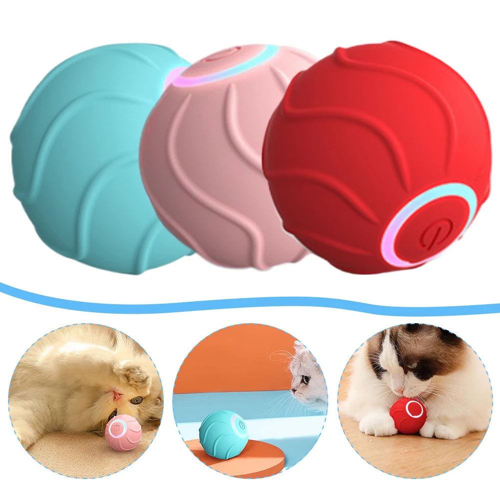 USB Rechargeable Rolling Ball – Interactive Cat Toy for Active Play.