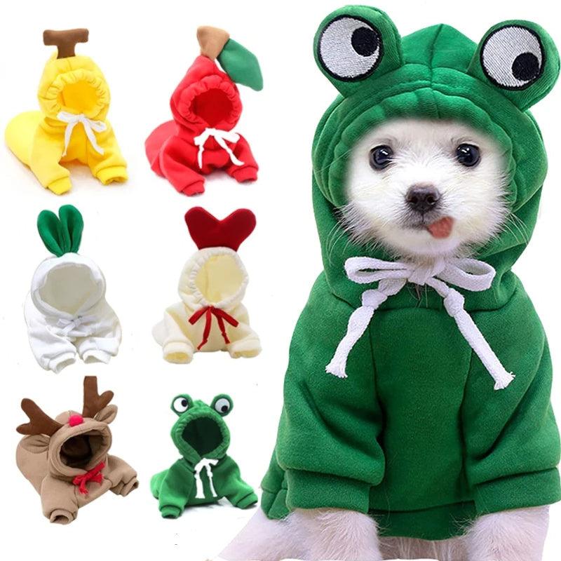 Let your pooch wag happily in this cute outfit! - Giggle & Purr