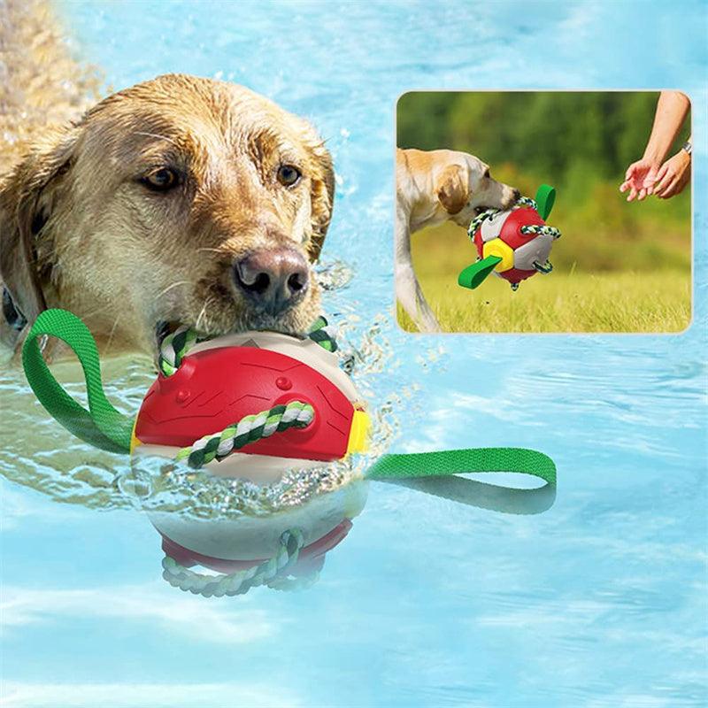 Kick & Play: Interactive Soccer Ball for Dogs – Durable, Fun & Perfect for Outdoor Training! - Giggle & Purr