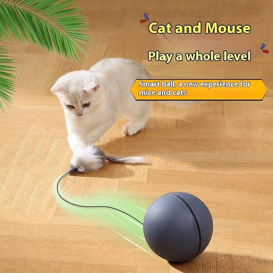 Unleash the Fun: Discover the Electric Cat Teaser Ball – Endless Joy for Your Feline! - Giggle & Purr