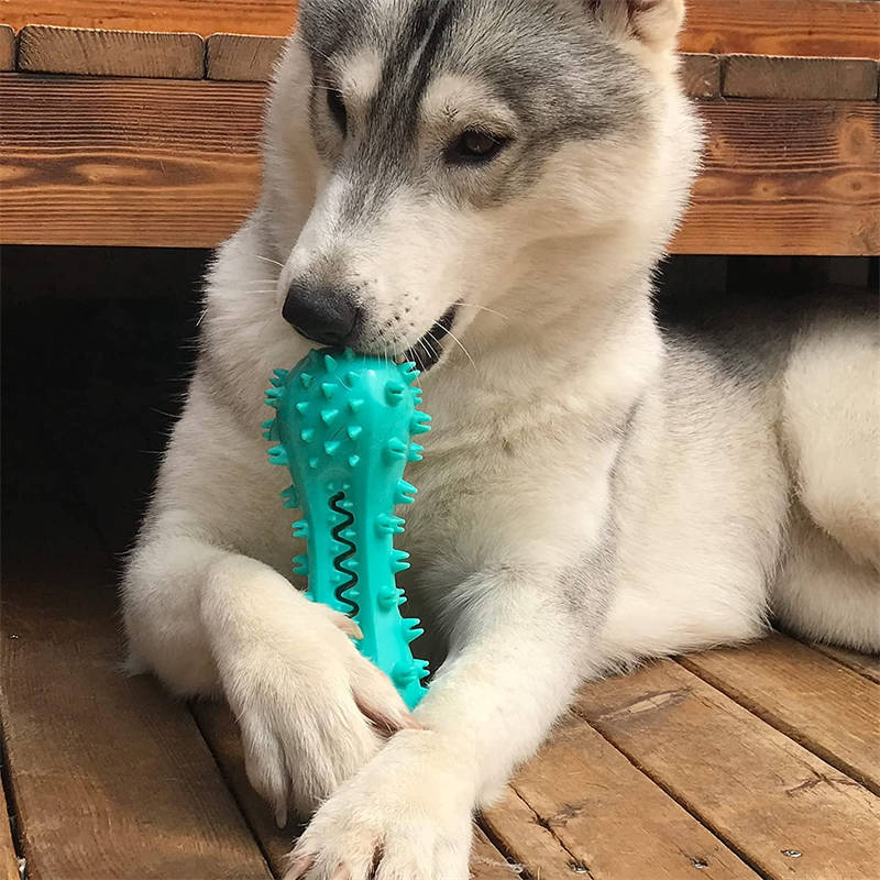 Durable Dog Chew Toy – Rubber Molar Stick That Promotes Healthy Teeth & Gums.