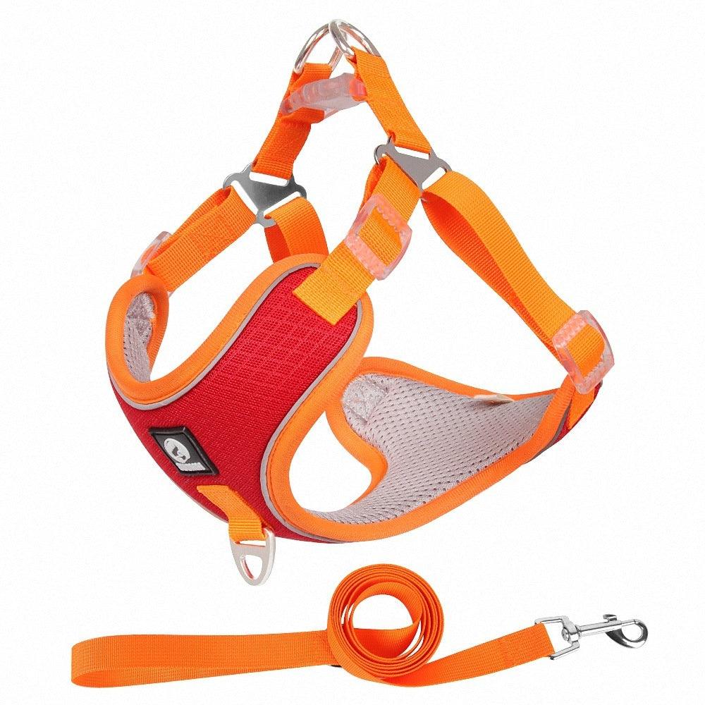 Glide & Glow: Adjustable Comfort Harness with Reflective Safety. - Giggle & Purr