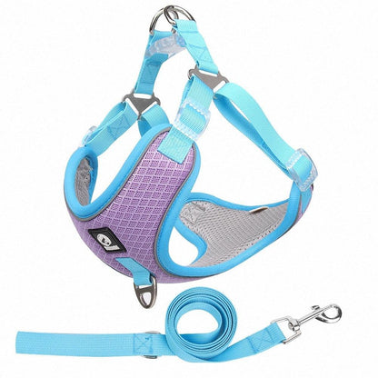 Glide & Glow: Adjustable Comfort Harness with Reflective Safety. - Giggle & Purr